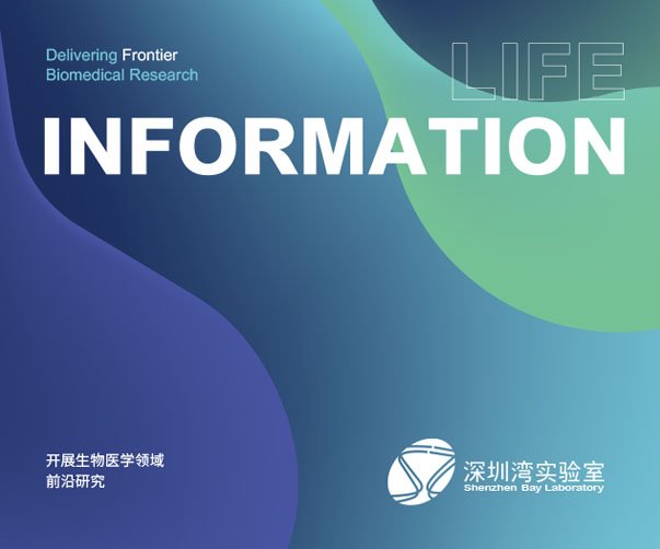 生物親和設計與品牌塑造：上海Logo設計公司如何用視覺語言講述品牌故事