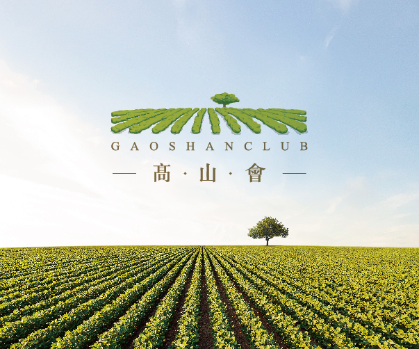 為什么江蘇地區(qū)的客戶喜歡找上海vi設計公司合作？