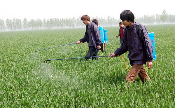 扎实抓好农药监管 确保农产品质量安全——专访湖南省农药检定所所长